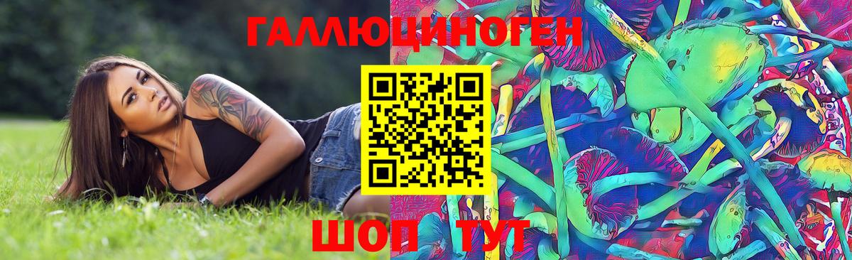 Галлюциногенные грибы мухоморы  Вход с VPN  Карачаевск 